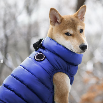 Жилет для собак утеплённый PUPPIA "Ultra Light Vest A", синий
