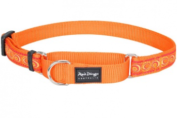 Ошейник-полуудавка Red Dingo оранжевый Cosmos 20мм*32-47