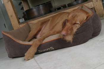 Лежак для собак с бортиками "Thermal" SCRUFFS, коричневый