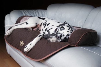 Лежак для собак на диван "Wilton" SCRUFFS , черный