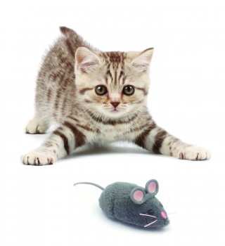 Игрушка для кошек интерактивная, микроробот HEXBUG"Мышка Грей", серая