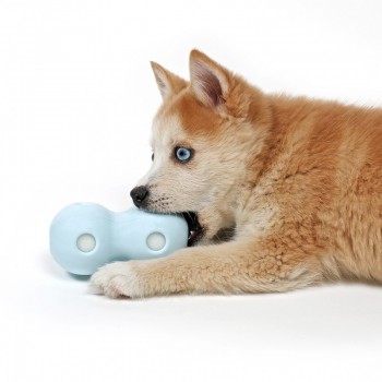 Игрушка для щенков резиновая PETIT "Water chew toy Coco", голубая, 12x6x6см