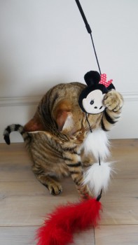 Игрушка для кошек удочка-дразнилка с кошачьей мятой ROSEWOOD Disney "Минни Маус", 46см