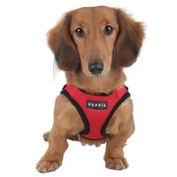 Шлейка-жилет для собак PUPPIA Soft Vest  красная