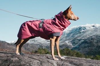 Тёплая куртка Hurtta Expedition Parka, красный