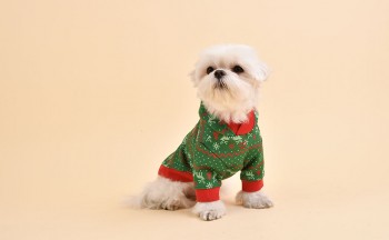 Новогодний свитер с капюшоном для собак PINKAHOLIC  "Noelle", зелёный