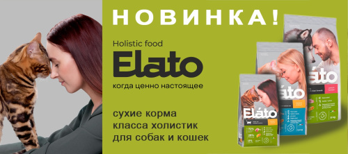 ELATO  - Новый бренд на наших полках